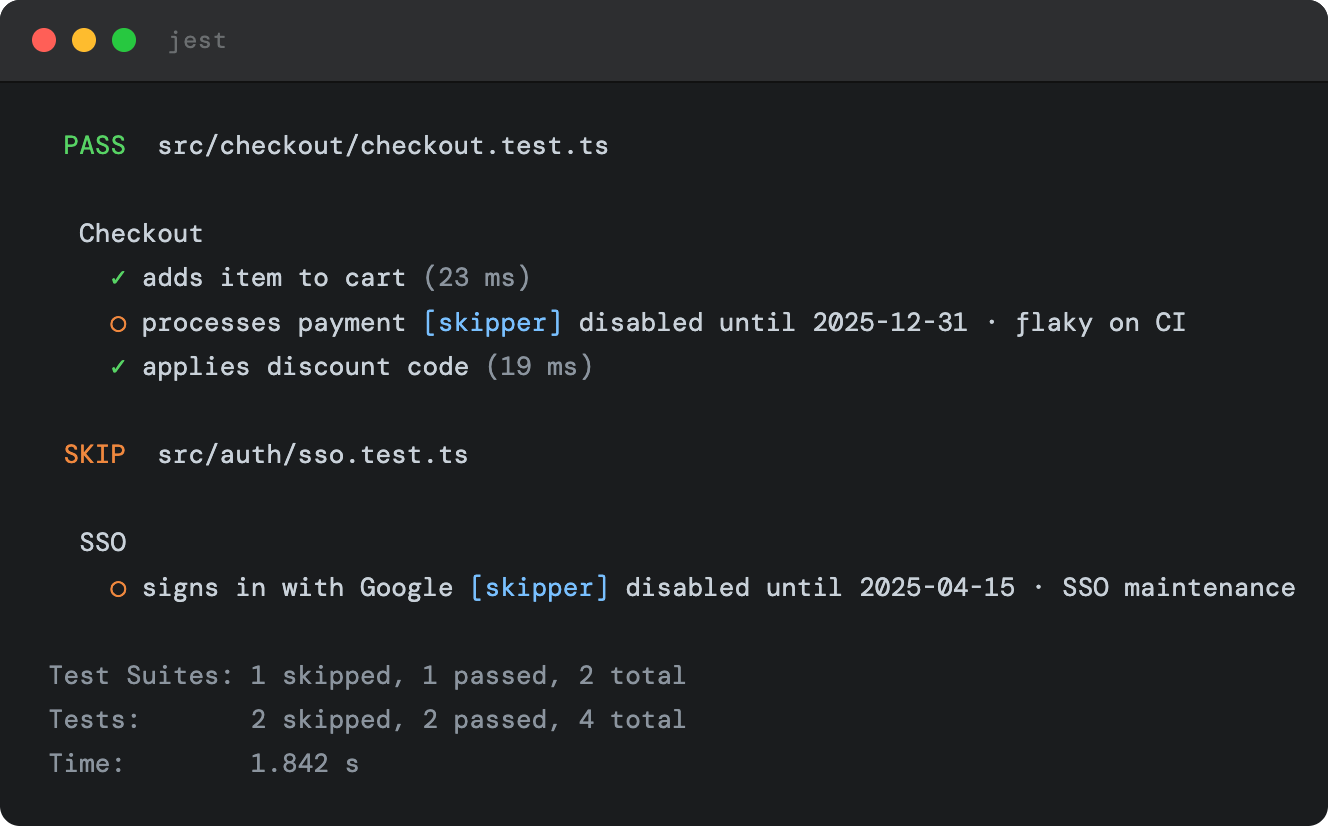 Skipper Terminal Output